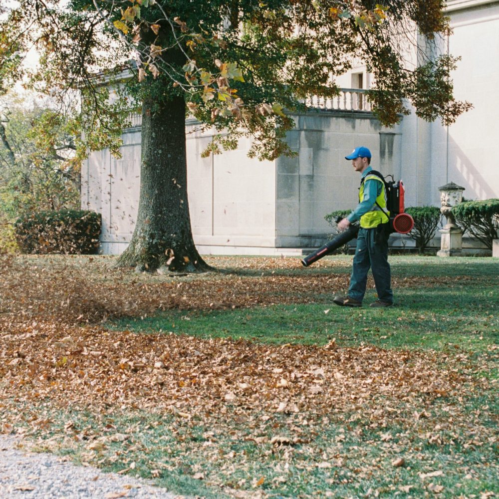 Équipe d’entretien en forêt utilisant l’application mobile